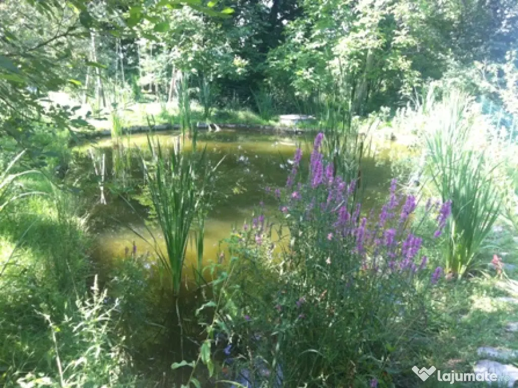 Casa de vacanta - vila Provita de Jos 