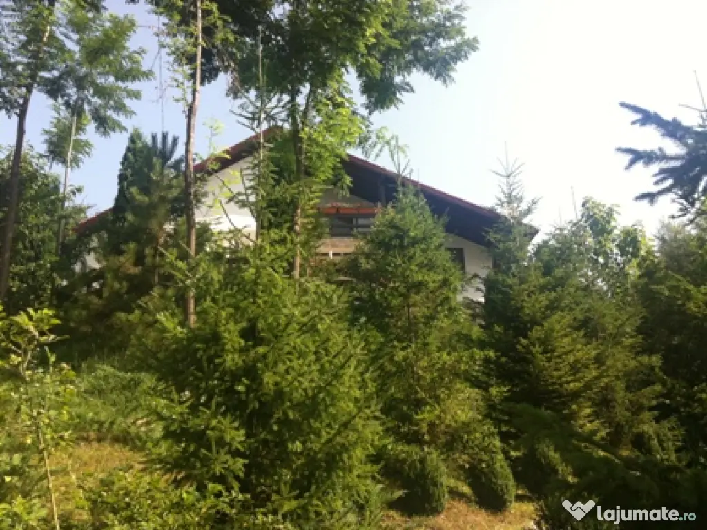 Casa de vacanta - vila Provita de Jos 