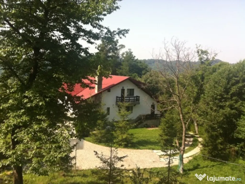 Casa de vacanta - vila Provita de Jos 