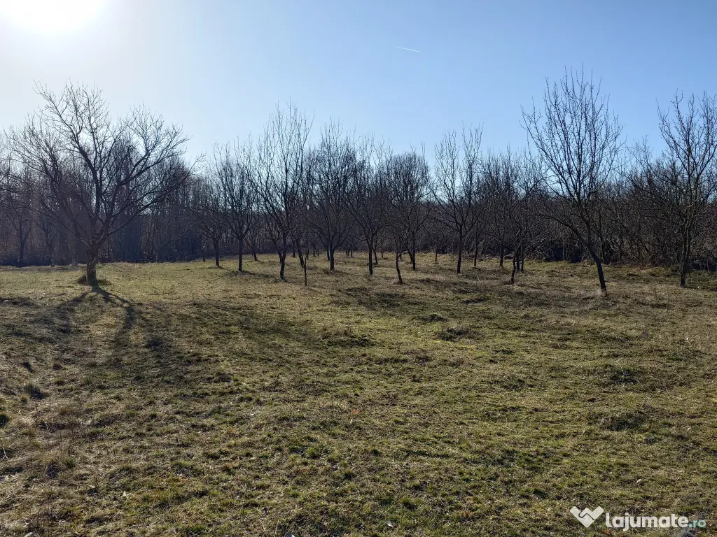 Vand teren 4000mp, Stubeiu