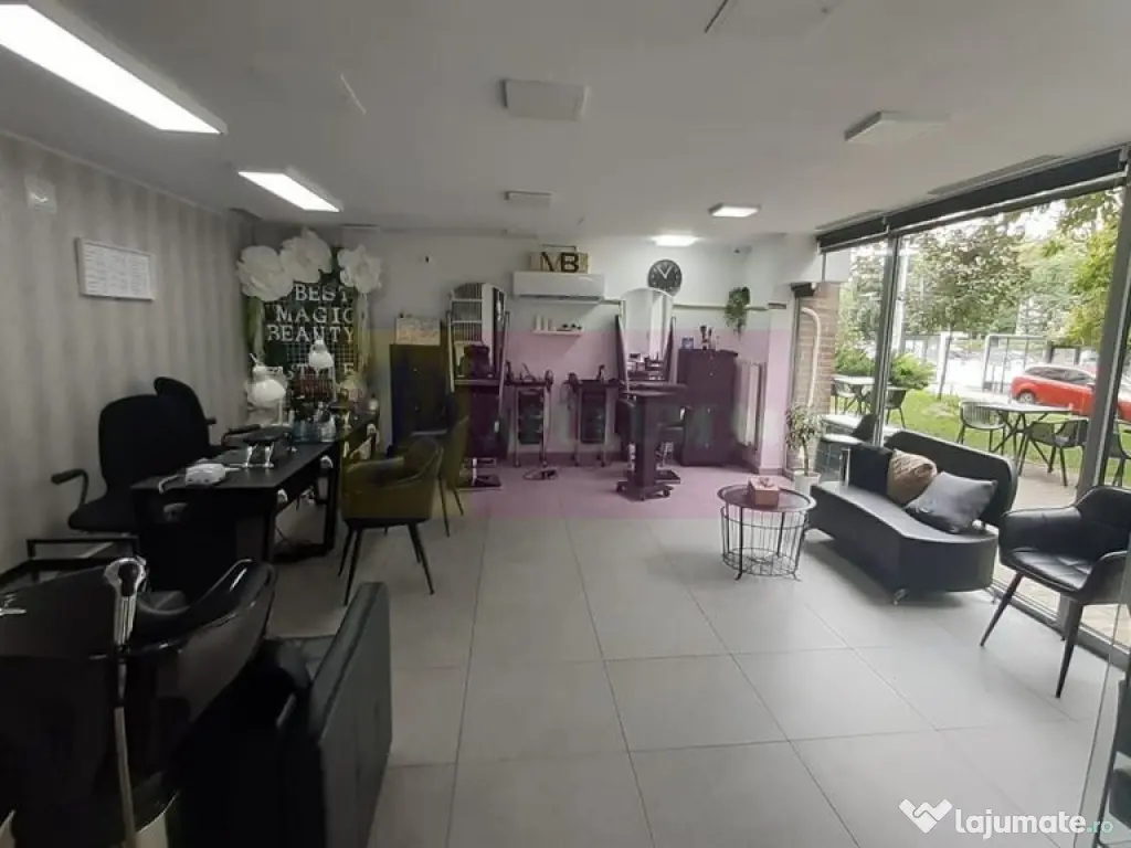 Spatiu Comercial Stradal Șoseaua Colentina zona Teiul Do... 