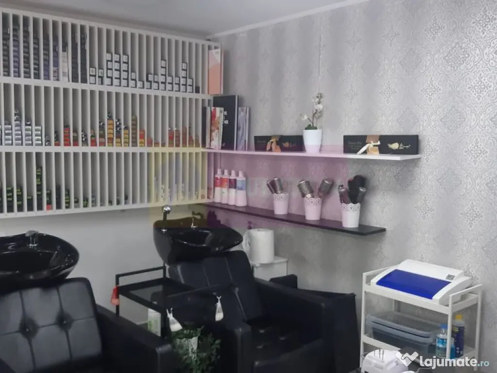 Spatiu Comercial Stradal Șoseaua Colentina zona Teiul Do... 