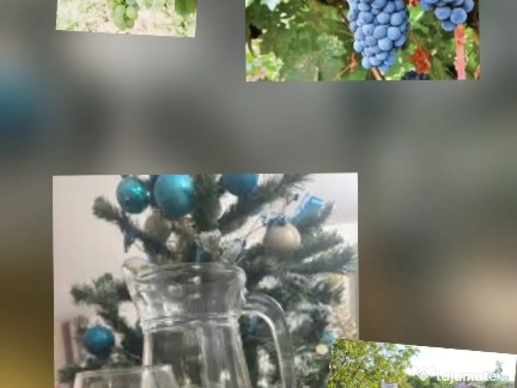 Vand vin alb si rosu de casa din ananas 