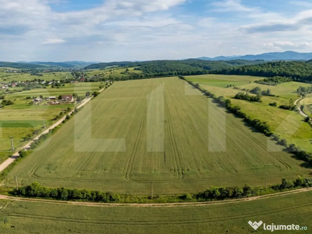 INVESTIȚIE! Teren extravilan, 52400 mp, front 130 ml, zona 