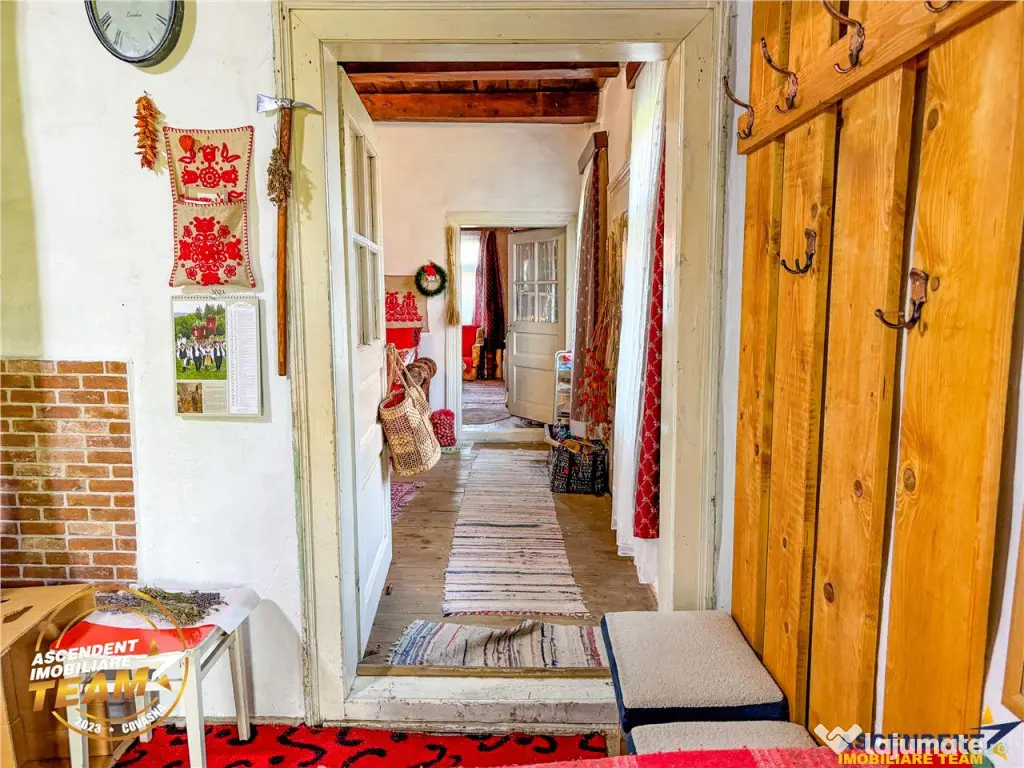 FILM! 3.000 mp teren intravilan cu proprietate traditionala 