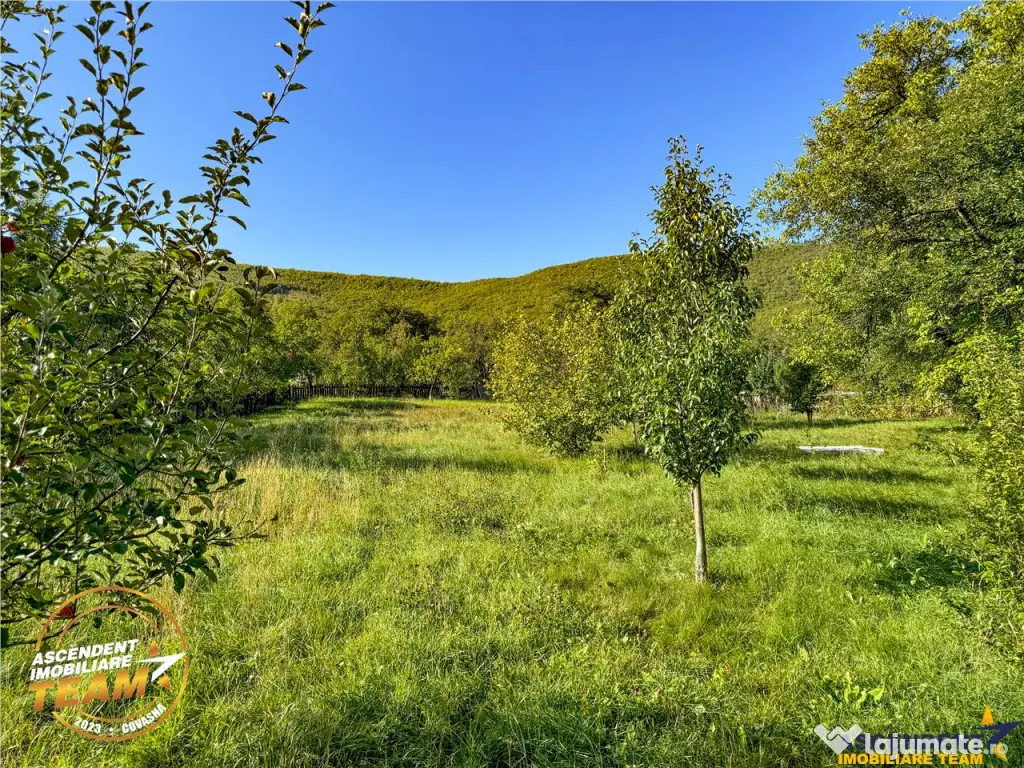 FILM! 3.000 mp teren intravilan cu proprietate traditionala 