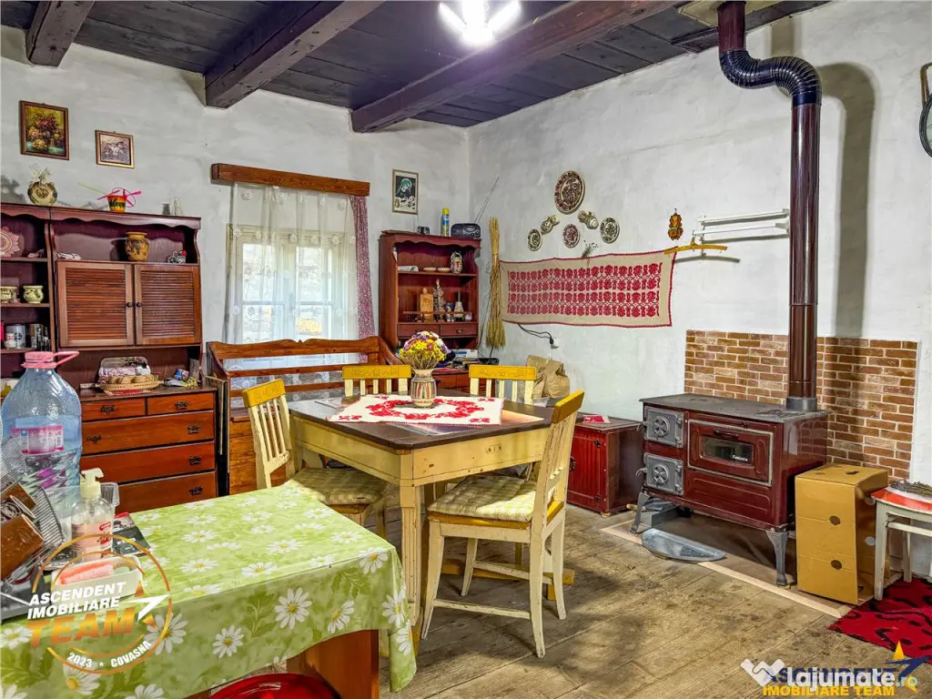 FILM! 3.000 mp teren intravilan cu proprietate traditionala 