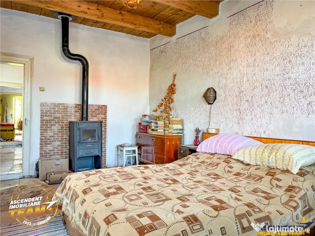 FILM! 3.000 mp teren intravilan cu proprietate traditionala 