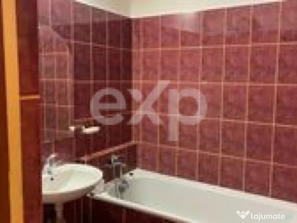 Apartament 2 camere Fratii Golesti 