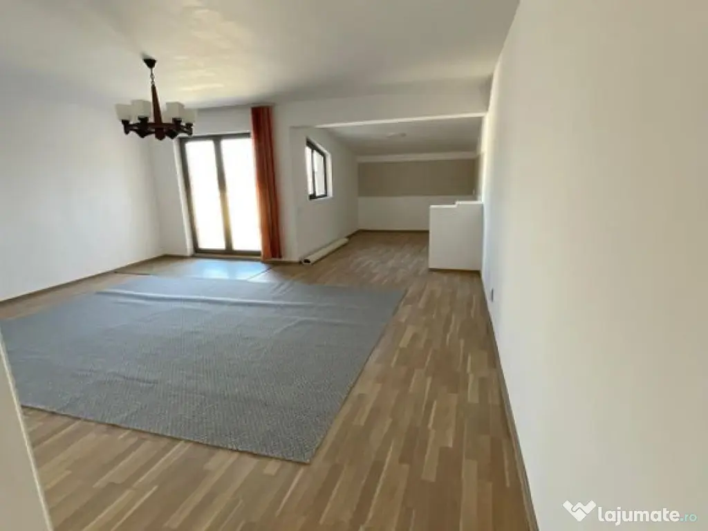 Hala 595 mp + teren 1500 mp Frumusani ( stradal ) 