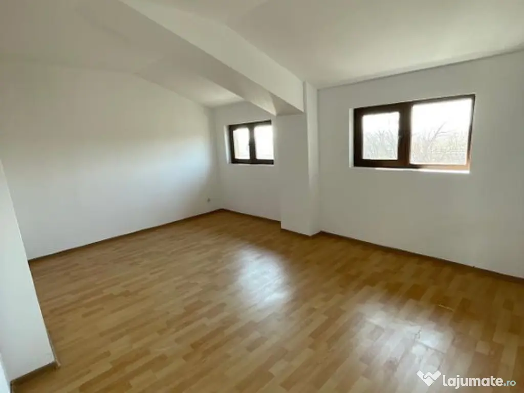 Hala 595 mp + teren 1500 mp Frumusani ( stradal ) 