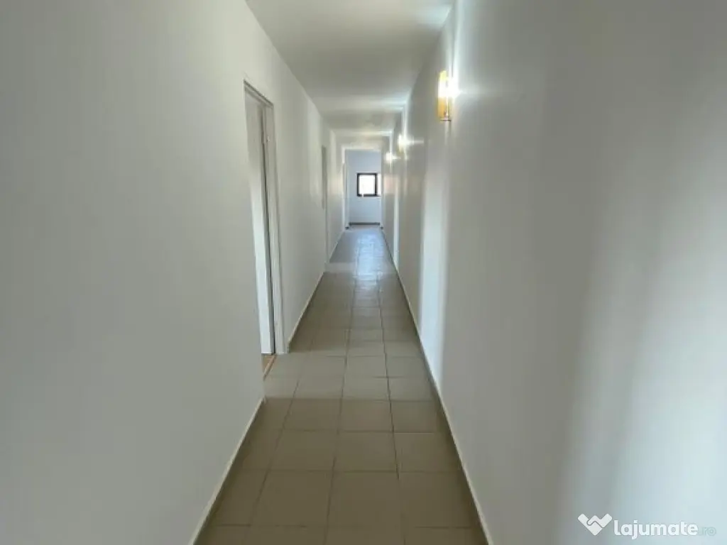 Hala 595 mp + teren 1500 mp Frumusani ( stradal ) 