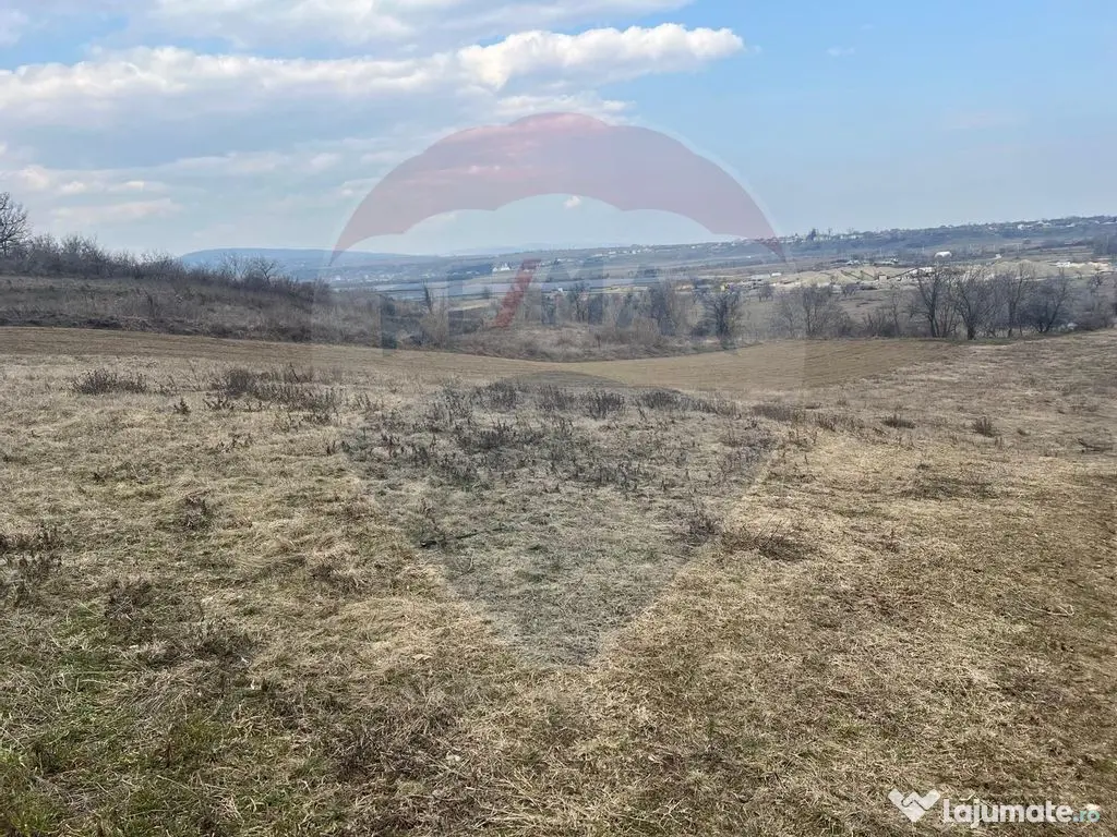 Teren intravilan Dumbraveni / Strada Principala 