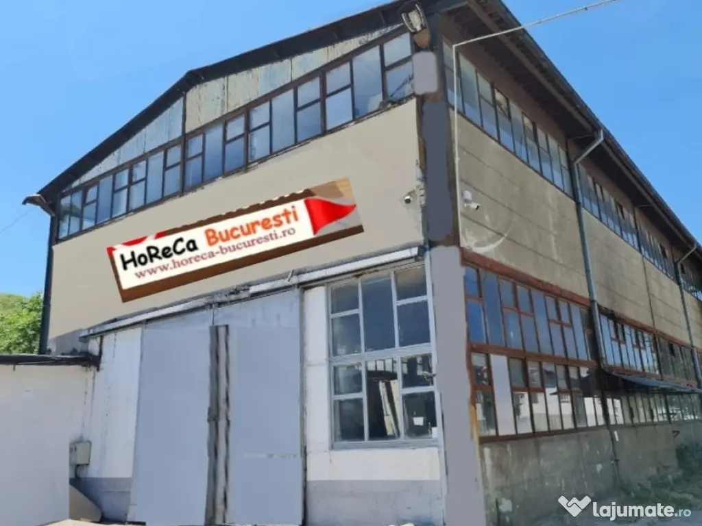 * Echipamente profesionale pentru fast-food, shaormerii, rulote, restaurant 