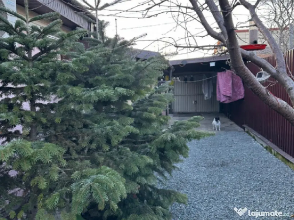 Casă 3 camere de vânzare zona Palas – 92 mp utili, teren 