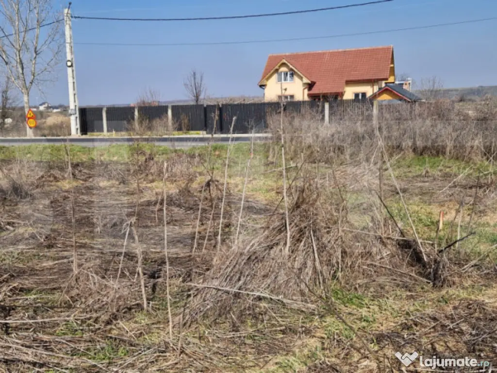 Teren intravilan Robanesti, 15256mp, deschidere bilaterala 
