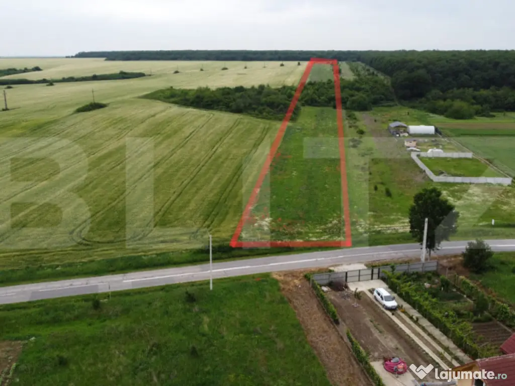 Teren intravilan Robanesti, 15256mp, deschidere bilaterala 
