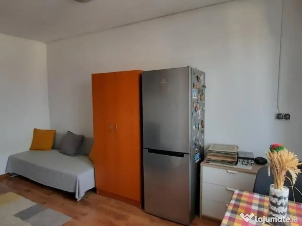 Berceni oraselul copiilor brancoveanu 