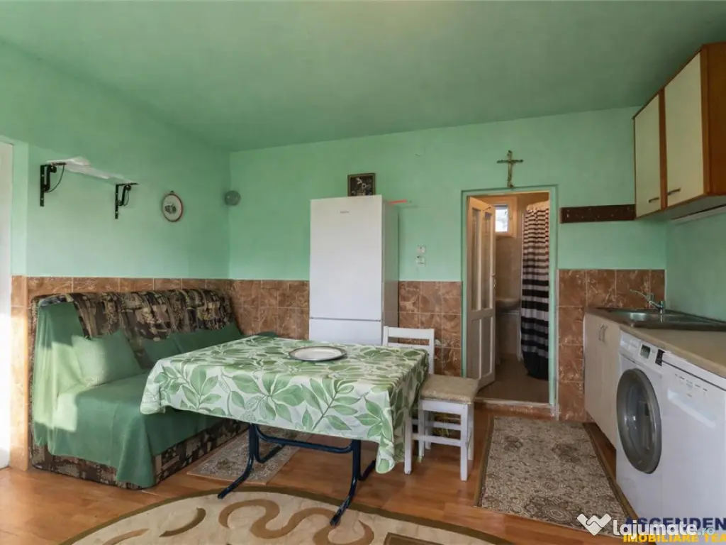 FILM! Casa cu sura, pivnita, balta cu pesti, 2.280 mp teren 