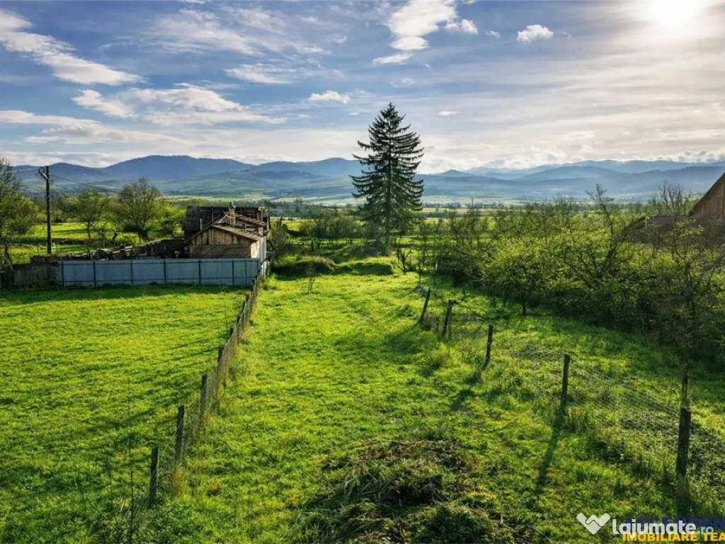 FILM! Casa cu sura, pivnita, balta cu pesti, 2.280 mp teren 