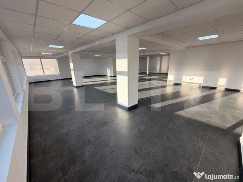 Spațiu 245 mp cu 10 parcări, curte logistică și rampă m 
