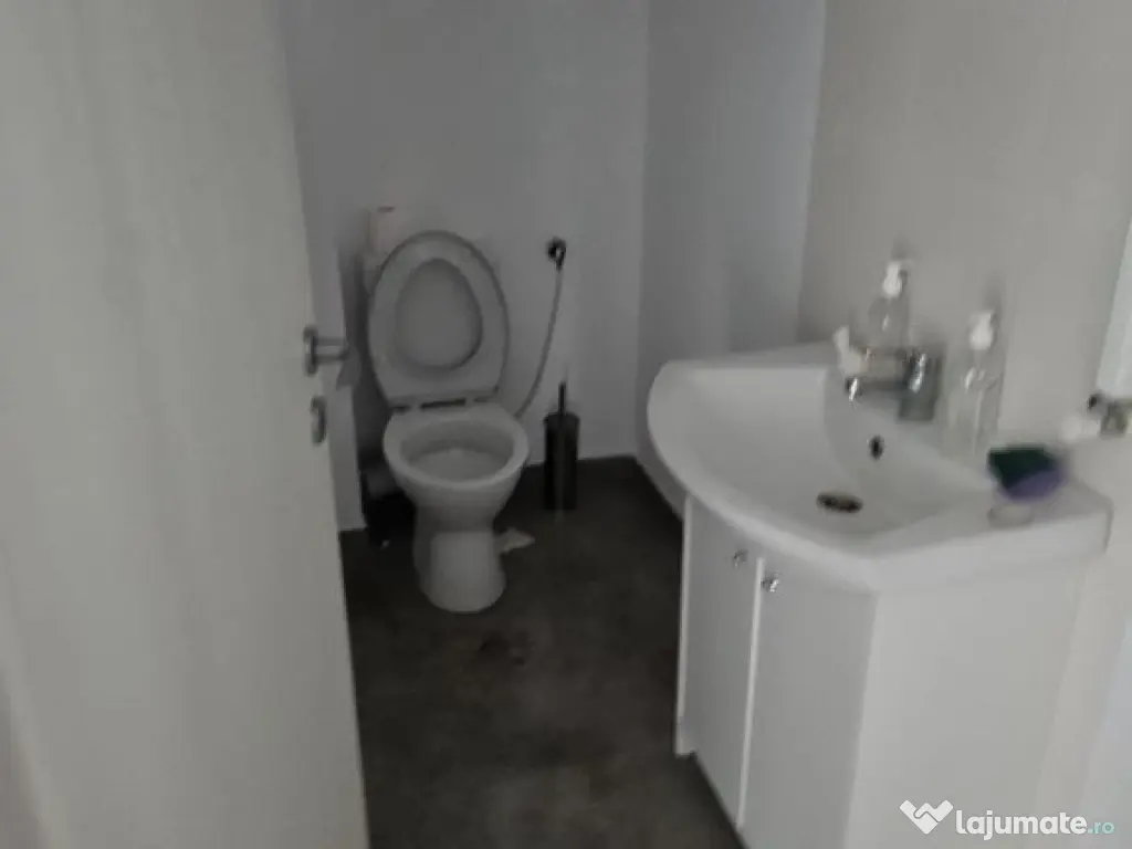 Hale noi 444 mp Domnesti- Centura Bucuresti 