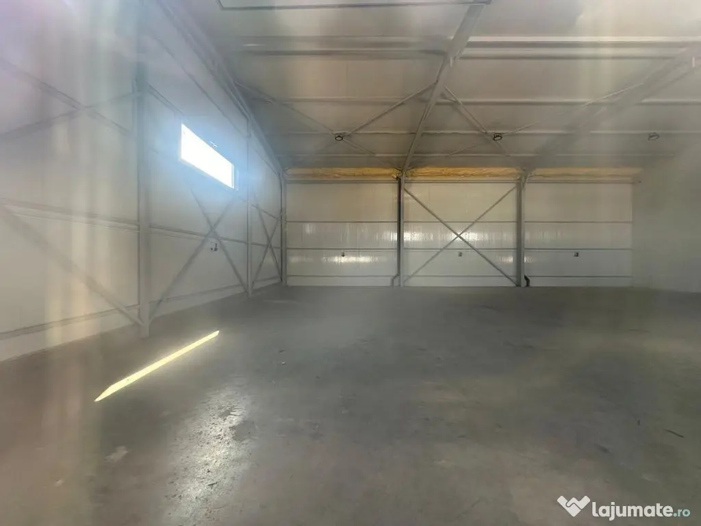 Hale noi 444 mp Domnesti- Centura Bucuresti 
