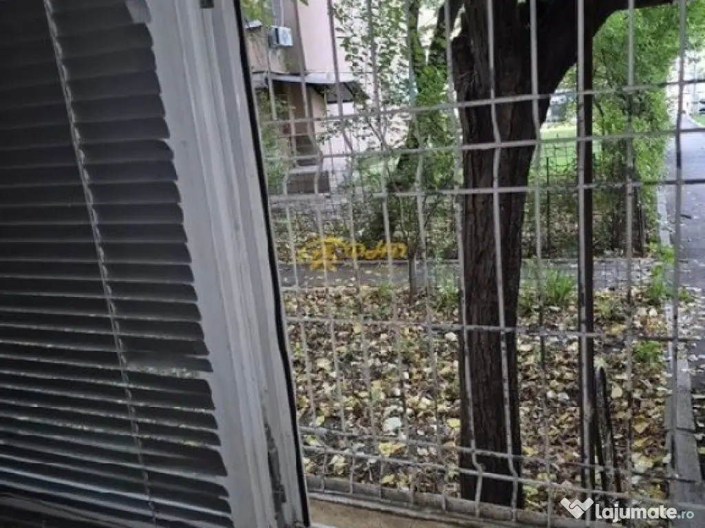 Camera de camin, in spate la autogara Codreanu 