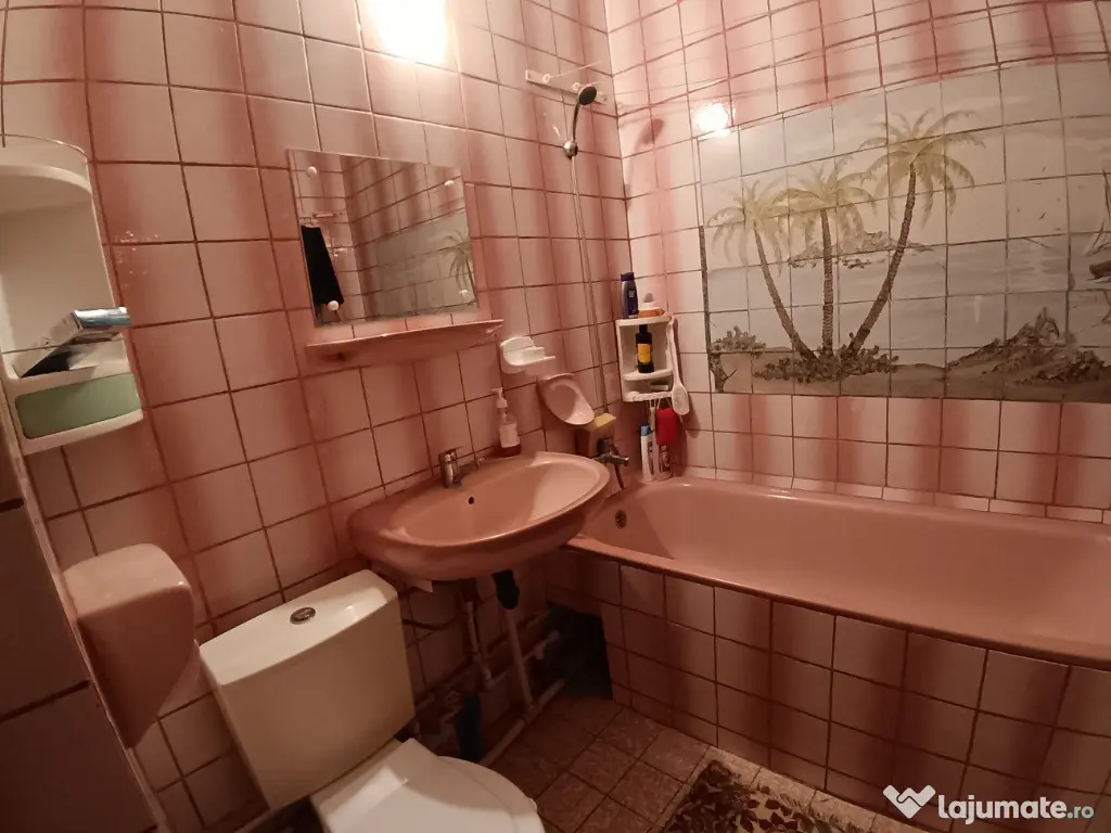 Apartament cu 2 Camere Decomandate in Burdujeni 