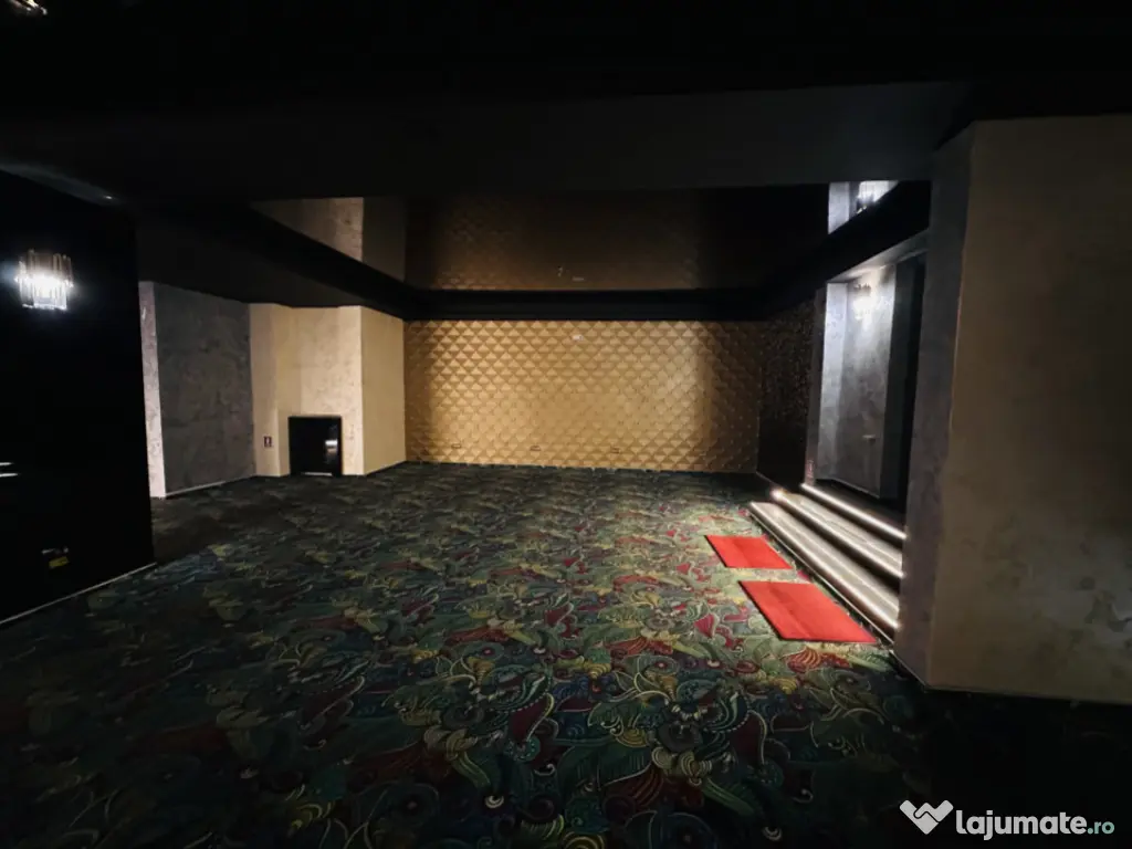 Super spațiu comercial 294,5 mp utili, Tineretului 35 bis, 