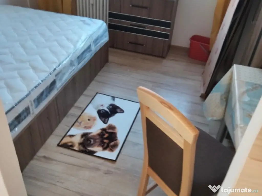 Camera de camin, 17mp., et.3, mobilata/utilata, Bularga 