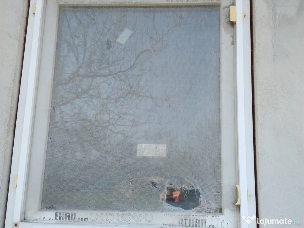 Termopane diferite dimensiuni si usi de lemn 