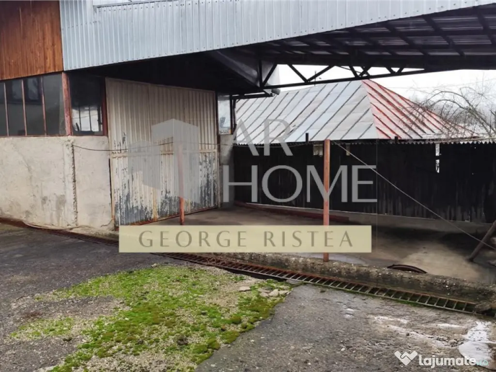 Casa Central Baicoi, 145 mp 