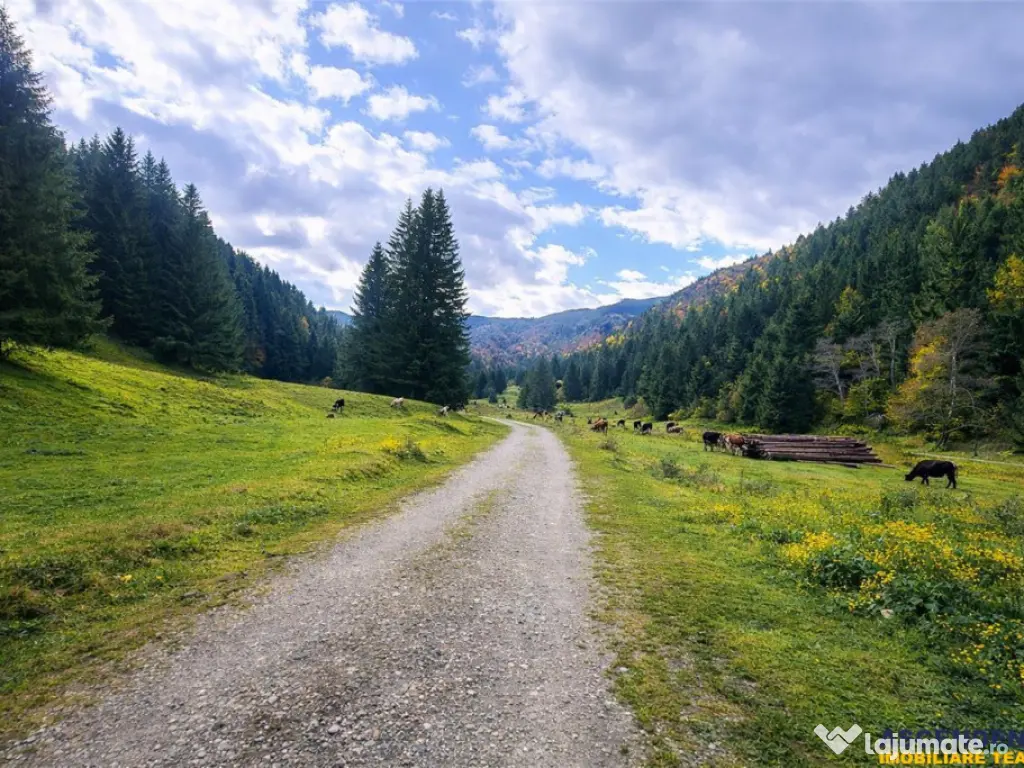 Teren intravilan panoramic 4.600mp,view iconic Piatra Craiul 