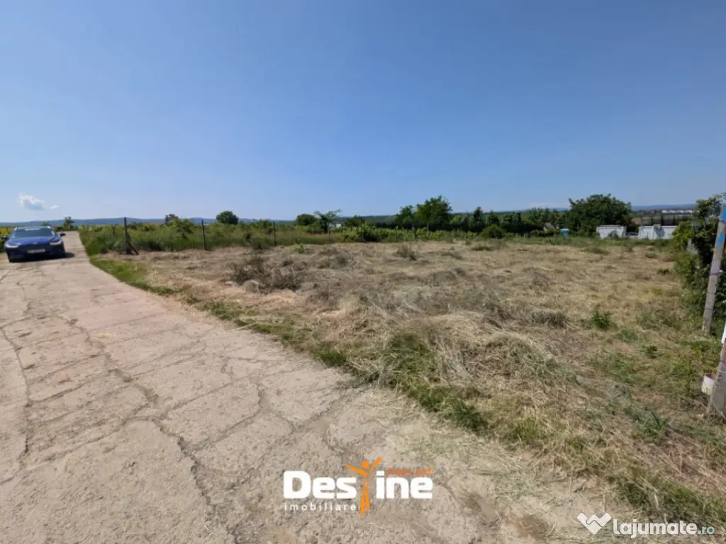 Bârnova - Teren Intravilan 974 Mp, utilitati, drum betonat 