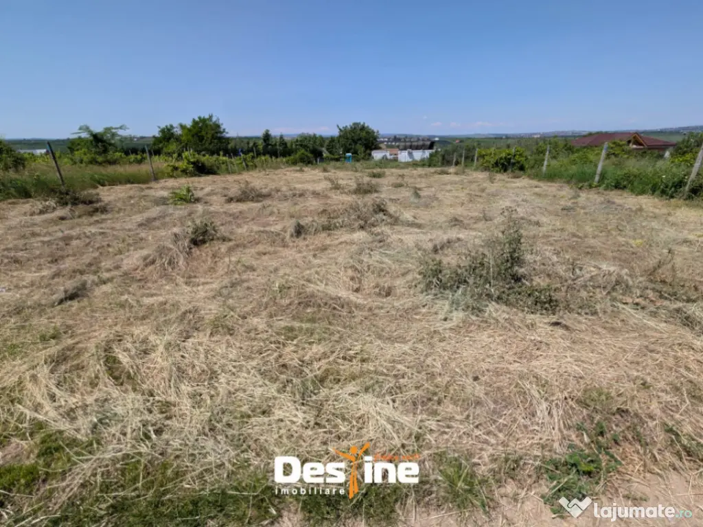 Bârnova - Teren Intravilan 974 Mp, utilitati, drum betonat 