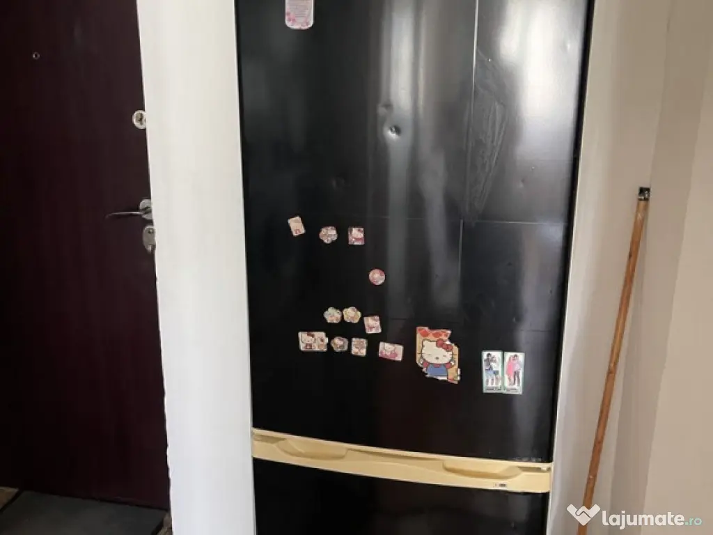 Iancului etaj 10 elev stefanescu 