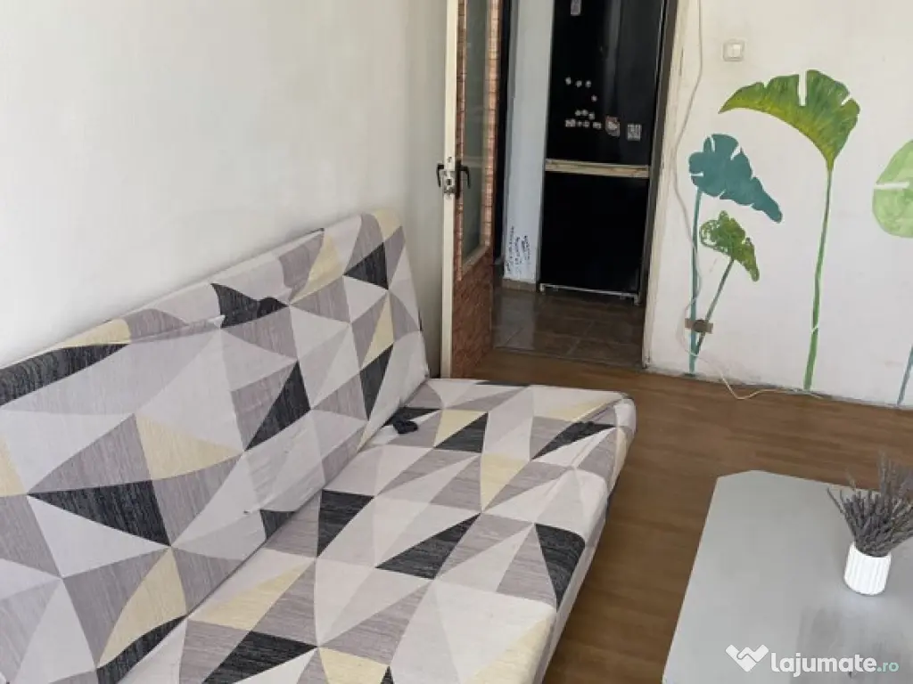 Iancului etaj 10 elev stefanescu 