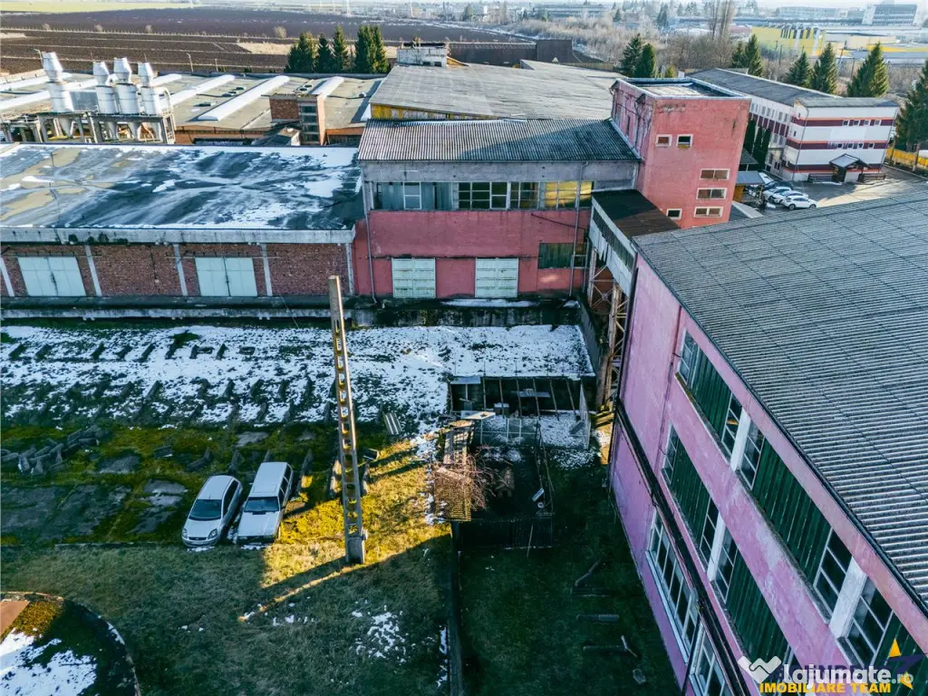 Spatii de depozitare, infrastructura potrivita pentru dezvol 