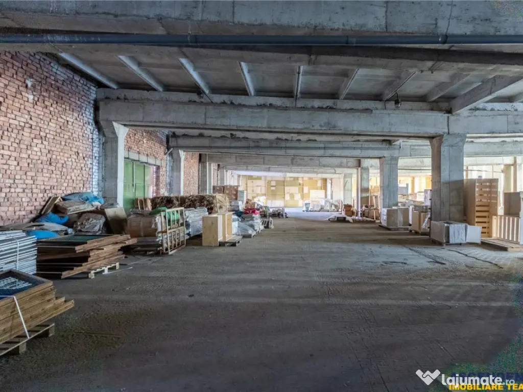 Spatii de depozitare, infrastructura potrivita pentru dezvol 