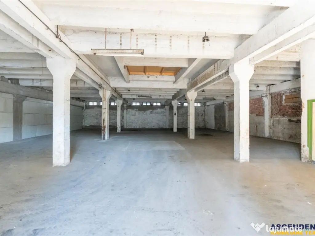 Spatii de depozitare, infrastructura potrivita pentru dezvol 