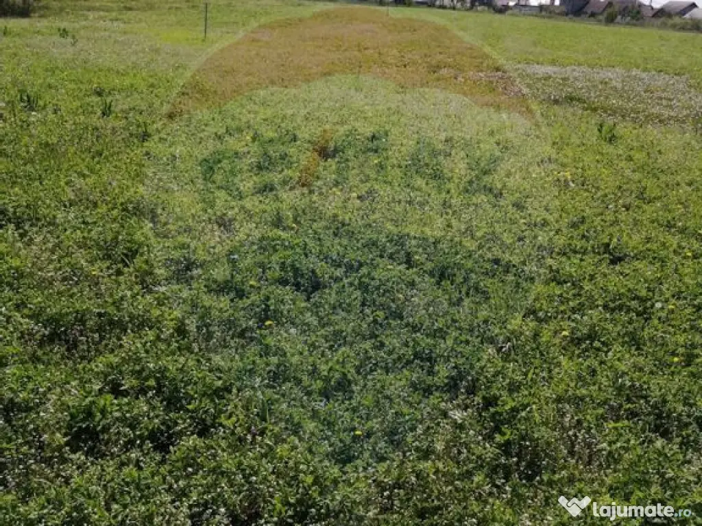 De vânzare teren intravilan, 6574 mp în Leș 