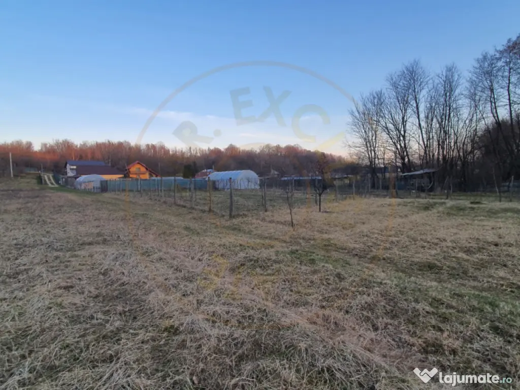 Teren intravilan pentru Casa de Vacanta - Mosoaia -Basangest 