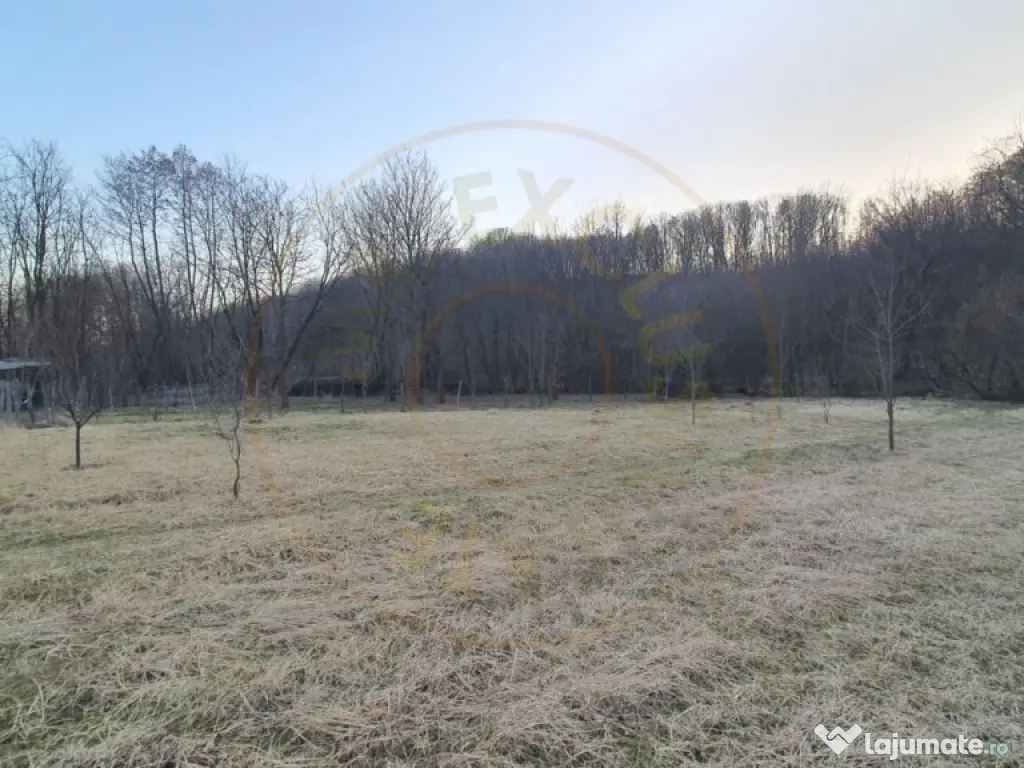 Teren intravilan pentru Casa de Vacanta - Mosoaia -Basangest 