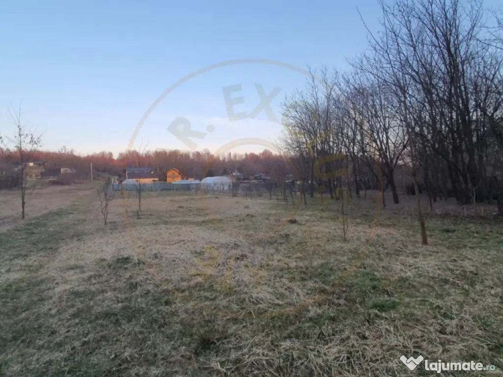 Teren intravilan pentru Casa de Vacanta - Mosoaia -Basangest 