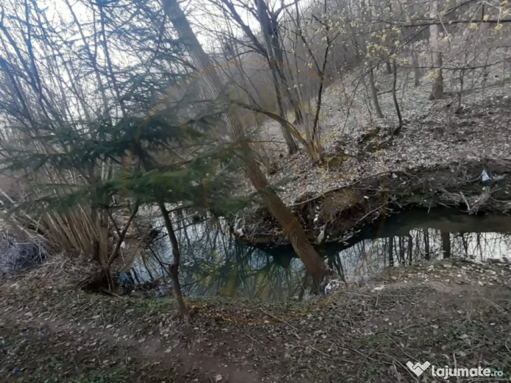 Teren intravilan pentru Casa de Vacanta - Mosoaia -Basangest 