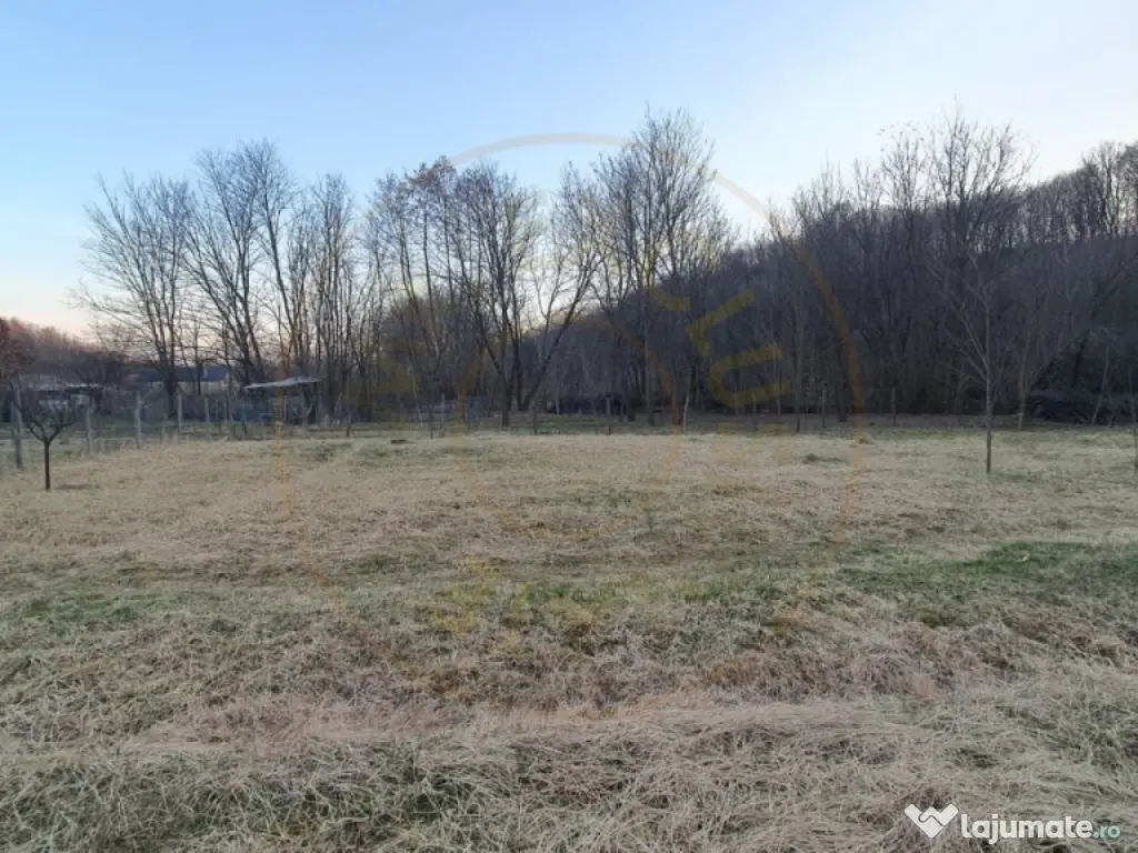 Teren intravilan pentru Casa de Vacanta - Mosoaia -Basangest 