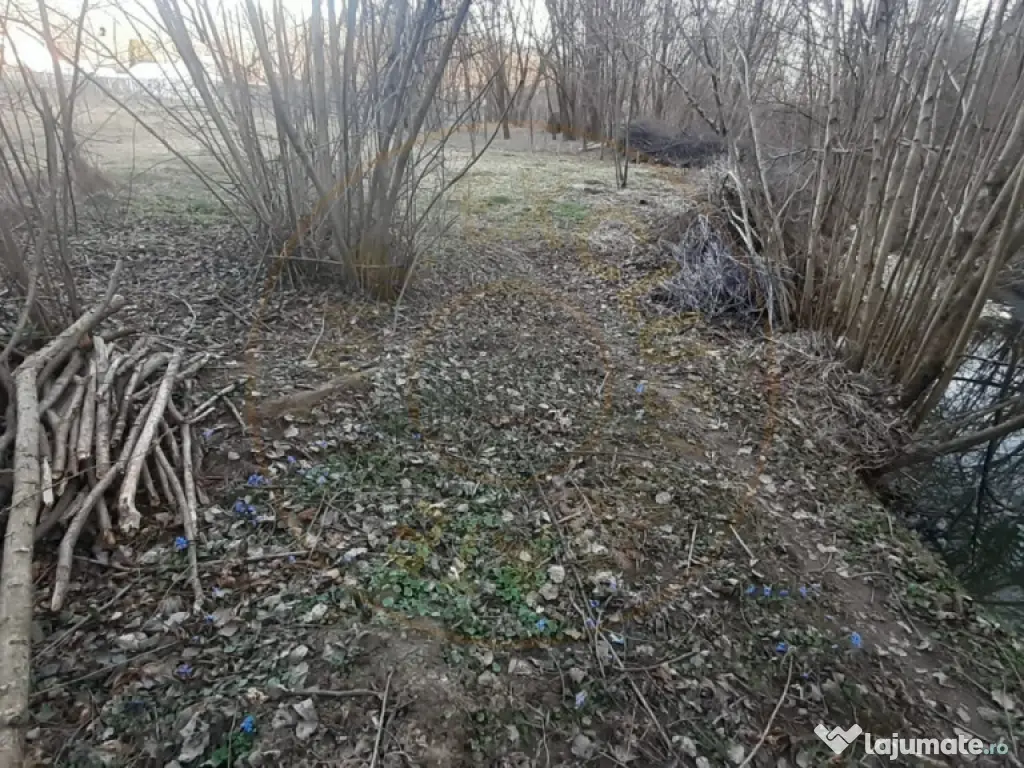 Teren intravilan pentru Casa de Vacanta - Mosoaia -Basangest 