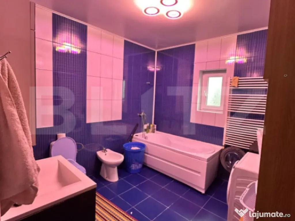 Vilă spațioasă P+1 de vânzare în Lunca Cetățuii – 1 