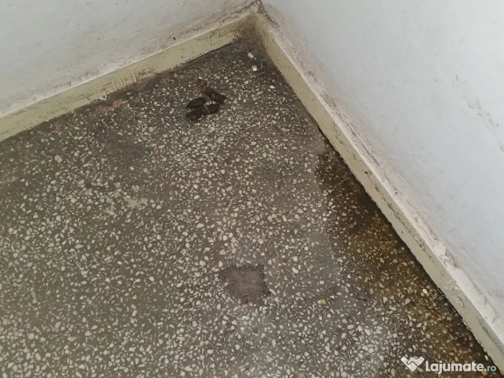 Proprietar închiriez apartament 2 camere  Apărătorii Patriei 